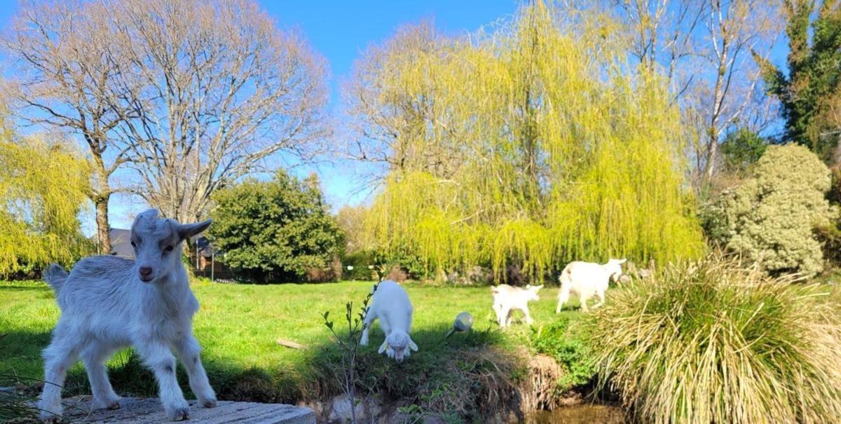 Landévant Le Domaine Des Sources B&B 외부 사진